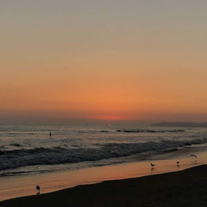 Meet your Posher, Caley